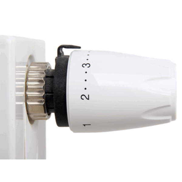 Thermostatic Radiator Valve Replacement