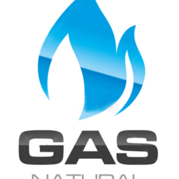 Continuous (Instantaneous) Gas Hot Water Heating Installation / Re-location (NG)